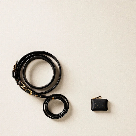 Larkwell The Night Walk Set featuring a black rolled leather dog lead and a matching zipped leather waste-bag holder.