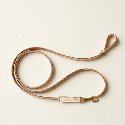 Leather Dog Lead