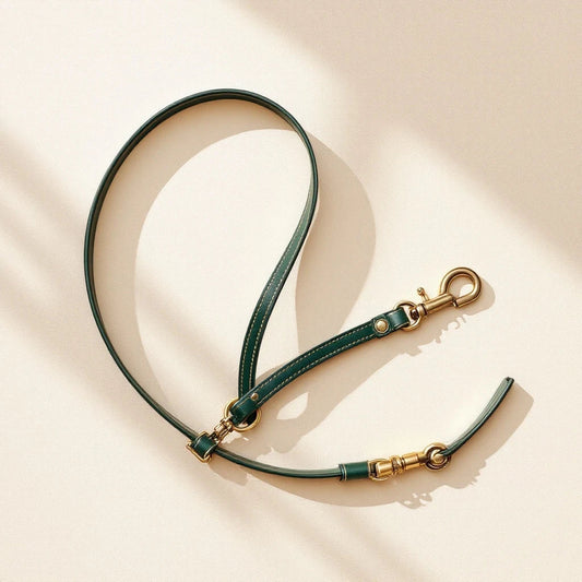 Larkwell The Safe Tether in Deep Forest green leather with antique brass screw-lock hardware for dog car safety.