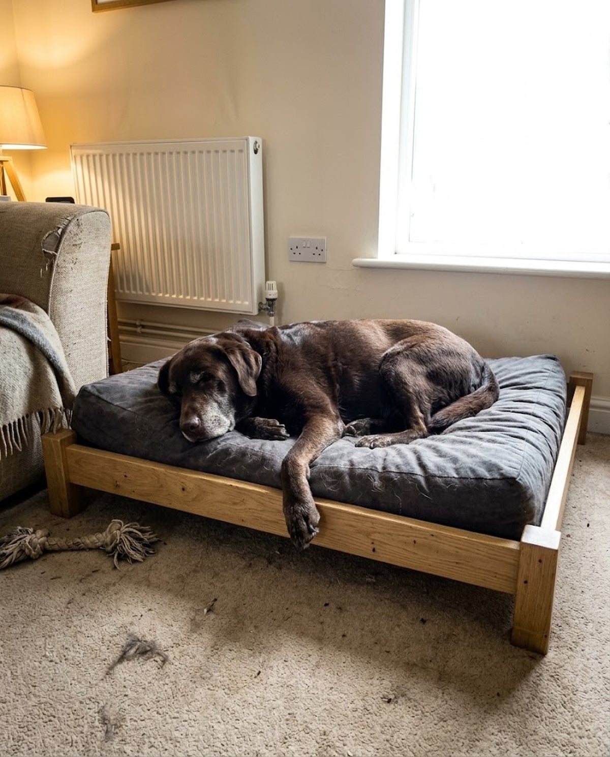 Memory Foam Dog Bed